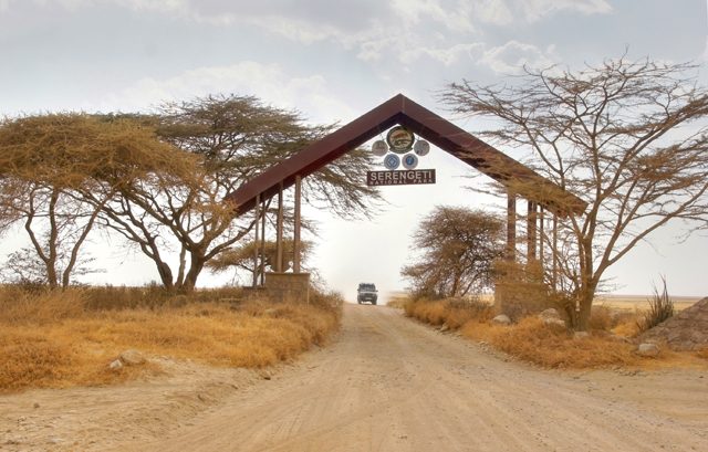 What Exactly is a Joining Safari? What Exactly is a Joining Safari?