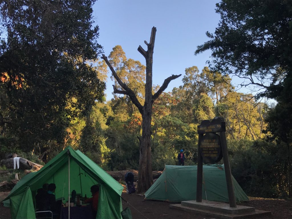 Arriving just before sundown to Mti Mkubwa Camp and it was already a little bit chilly!