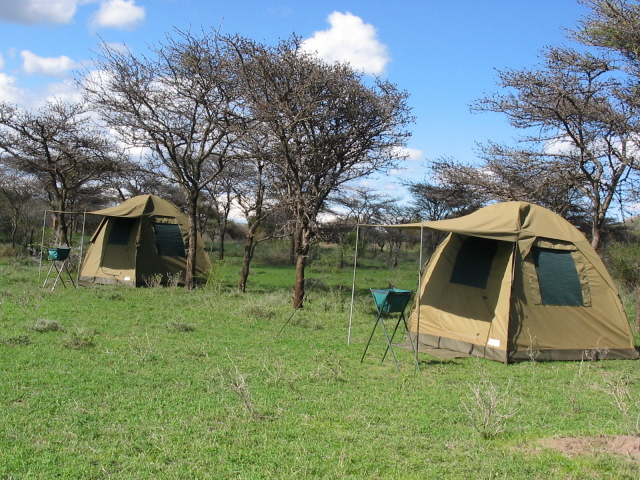 Camping Safari