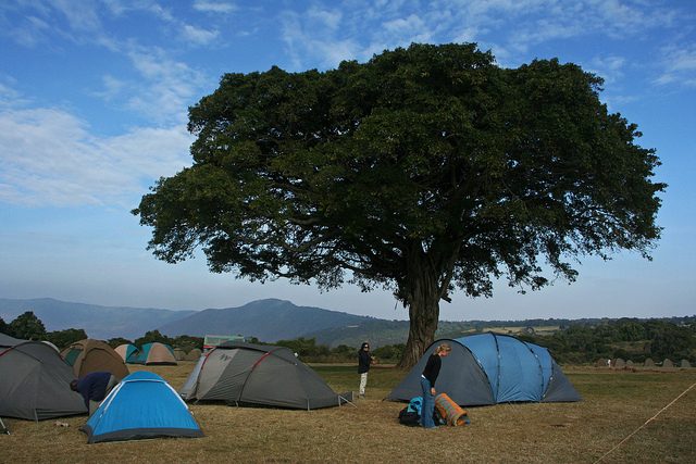 Camping or Lodge Based Safaris? What You Need to Know. Camping or Lodge Based Safaris? What You Need to Know.