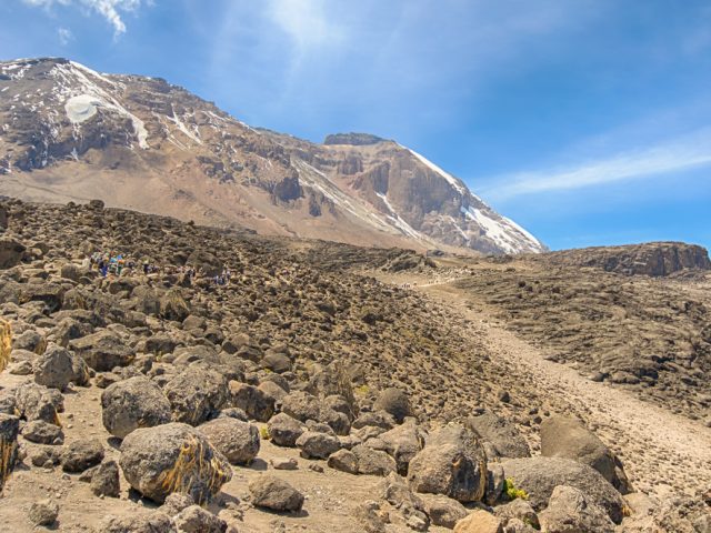 Climbing Kilimanjaro through Lemosho Route