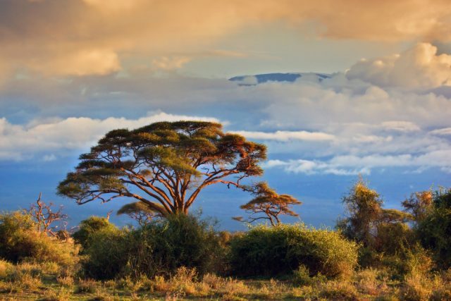 The Routes of Kilimanjaro The Routes of Kilimanjaro