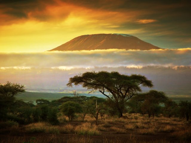 Kilimanjaro from Northern Plains