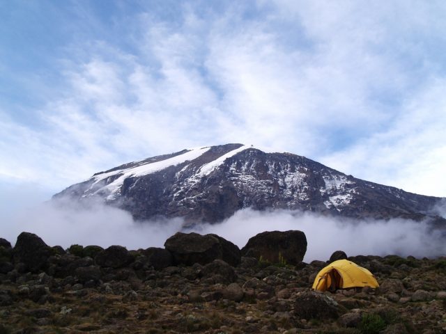 Kilimanjaro Morning