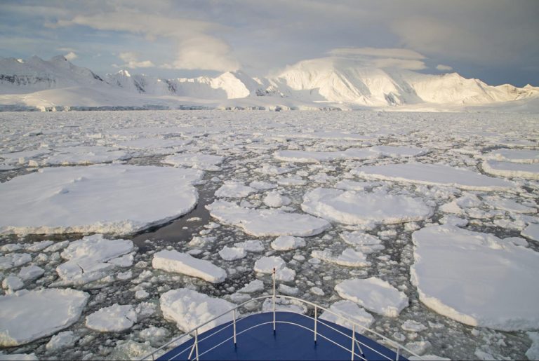 Cruising through the pack ice