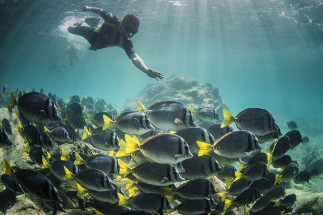 When to Plan Your Galapagos Trip When to Plan Your Galapagos Trip