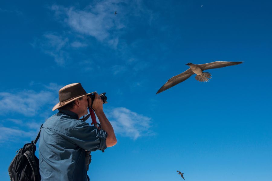 Birdwatching on Genovesa Island