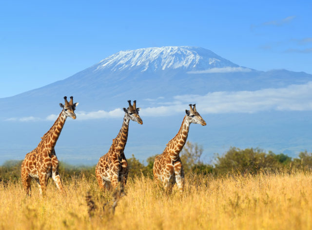 Tips for Getting to Tanzania Tips for Getting to Tanzania