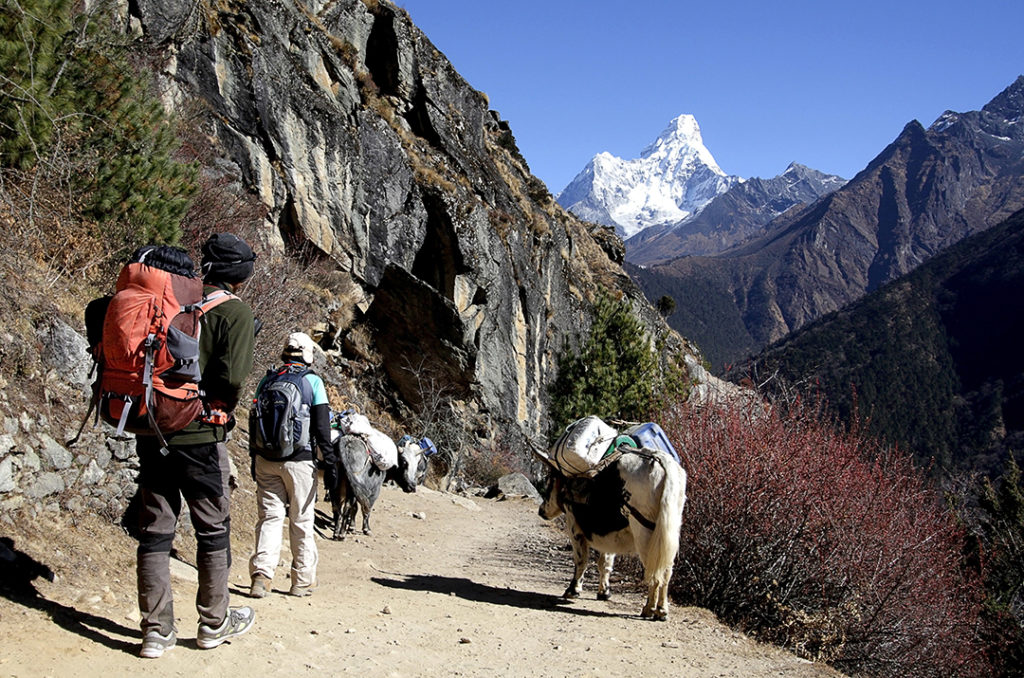 Everest Base Camp Porters, Trekkers, and Yak Carrying Luggage Tip Don't Carry Too Much