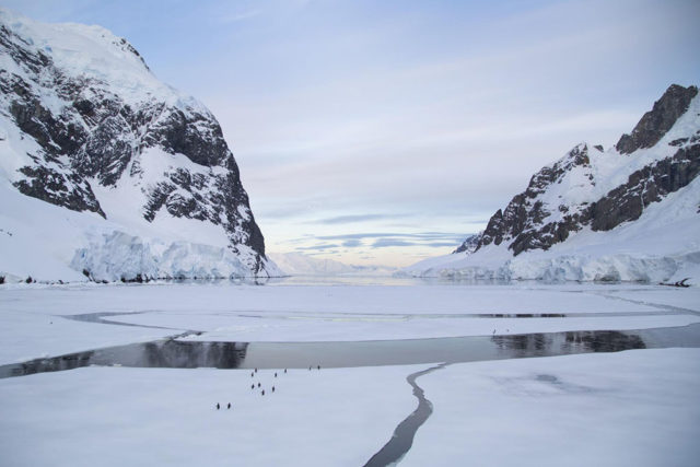 8 Tips for Traveling to Antarctica 8 Tips for Traveling to Antarctica