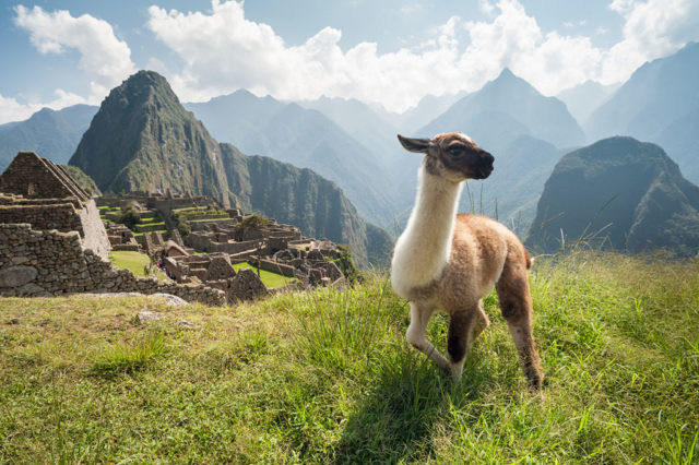 Inca Trail to Machu Picchu - 9 Trekking Tips Inca Trail to Machu Picchu - 9 Trekking Tips