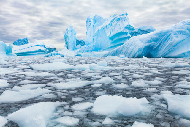 The Ultimate Cruise: Antarctica or Galapagos? The Ultimate Cruise: Antarctica or Galapagos?