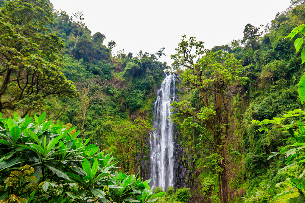 Waterfall outside of Moshi