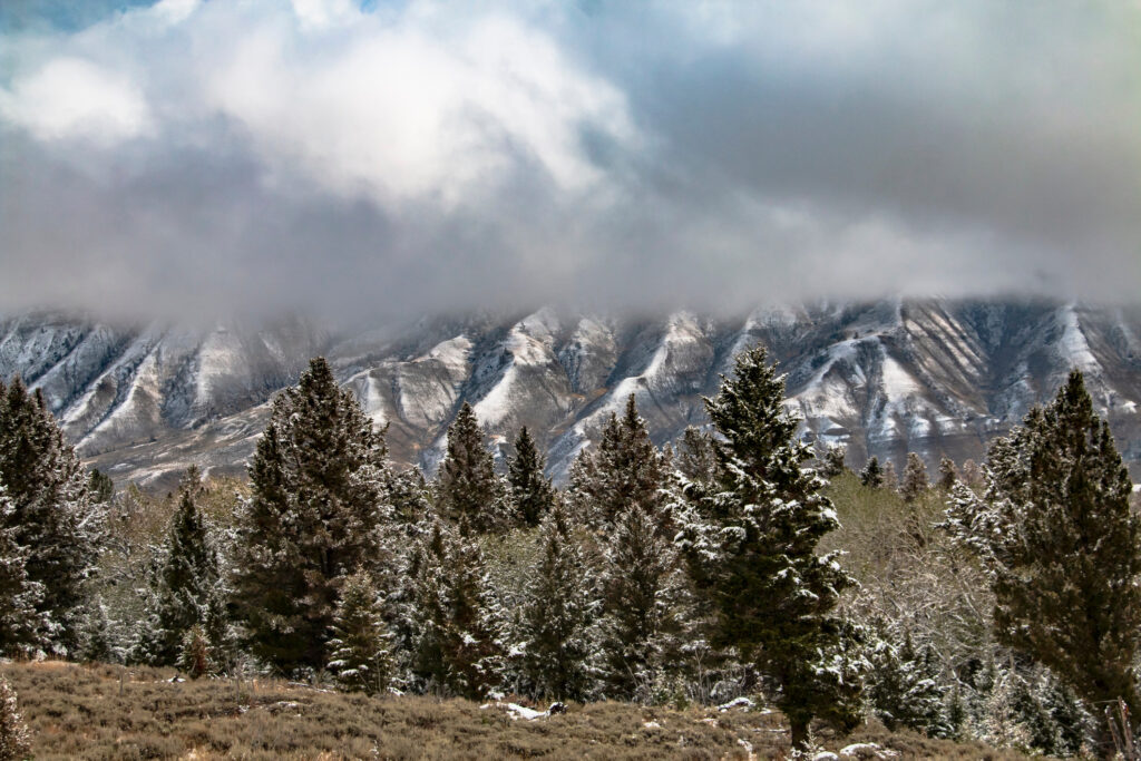 Early Season Snow - Yellowstone Park