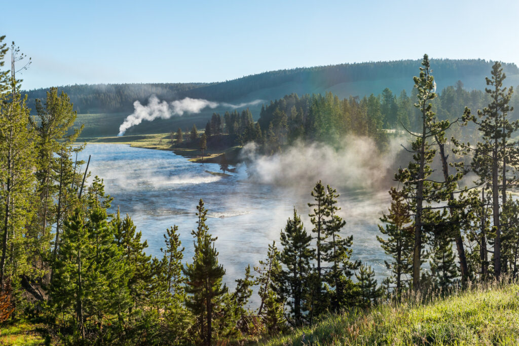Thermal Area Near Yellowstone River